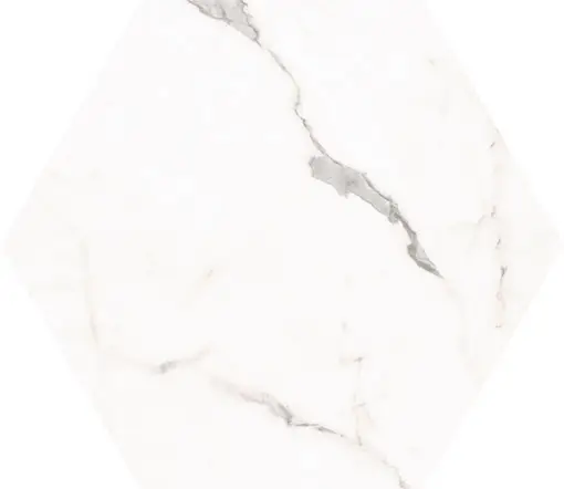 Y555B1