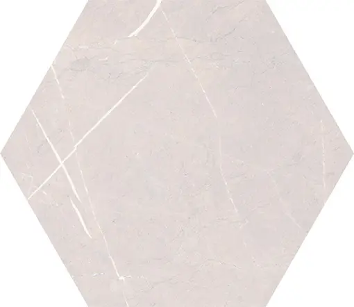 Y555B2
