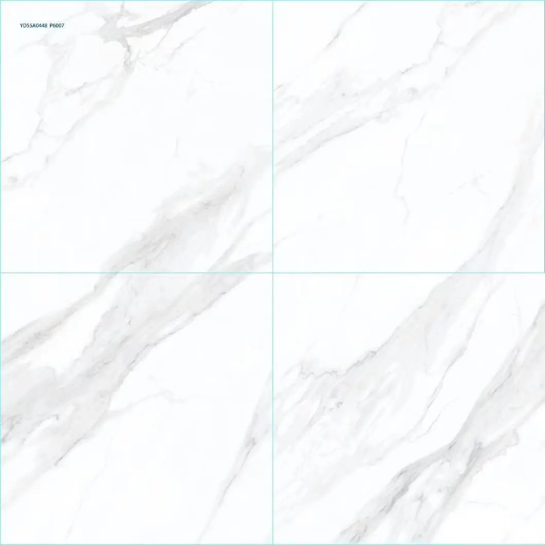 Y023P6001銀狐