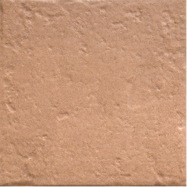 Y035SEA-2217_沙漠橘